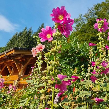 Chalet Arpitan - Les Carroz - Grand Massif Eksteriør billede
