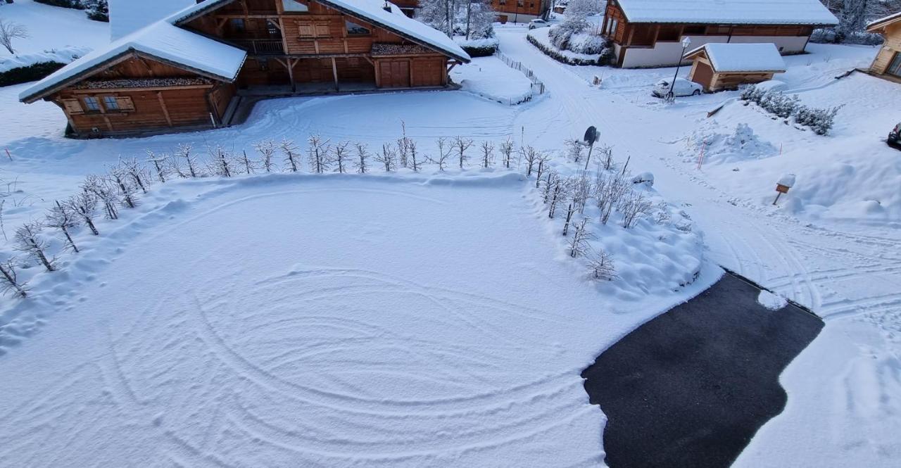 Chalet Arpitan - Les Carroz - Grand Massif Eksteriør billede