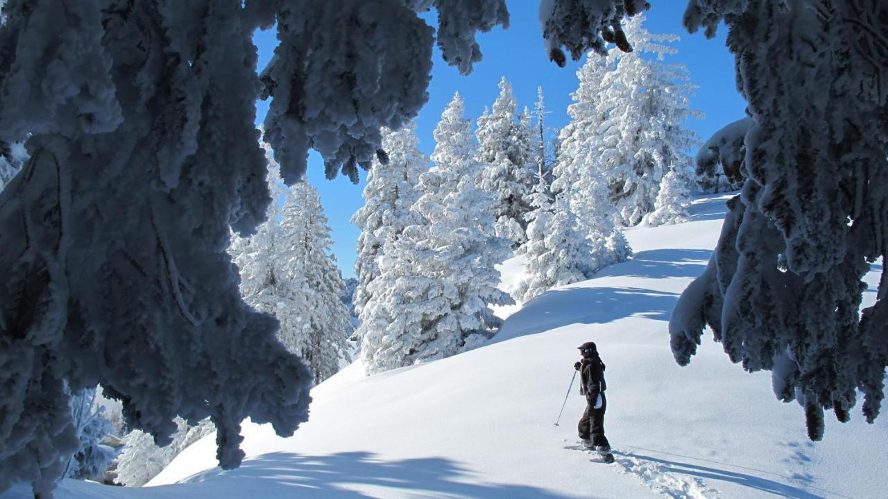 Chalet Arpitan - Les Carroz - Grand Massif Eksteriør billede