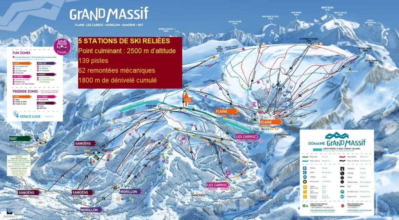 Chalet Arpitan - Les Carroz - Grand Massif Eksteriør billede