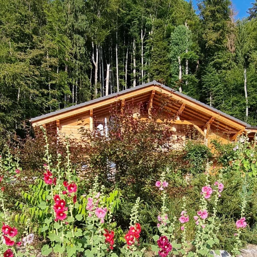 Chalet Arpitan - Les Carroz - Grand Massif Eksteriør billede