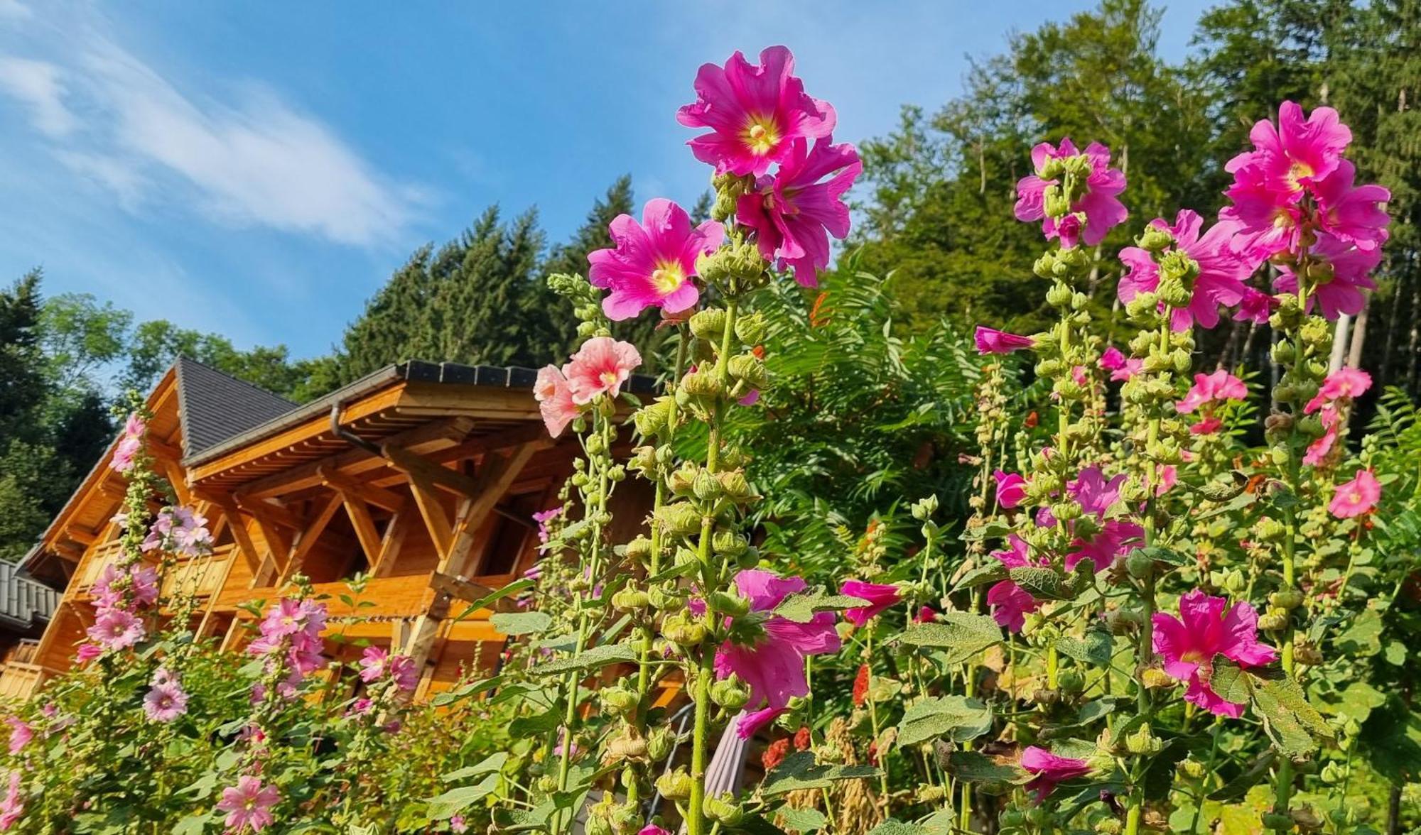 Chalet Arpitan - Les Carroz - Grand Massif Eksteriør billede